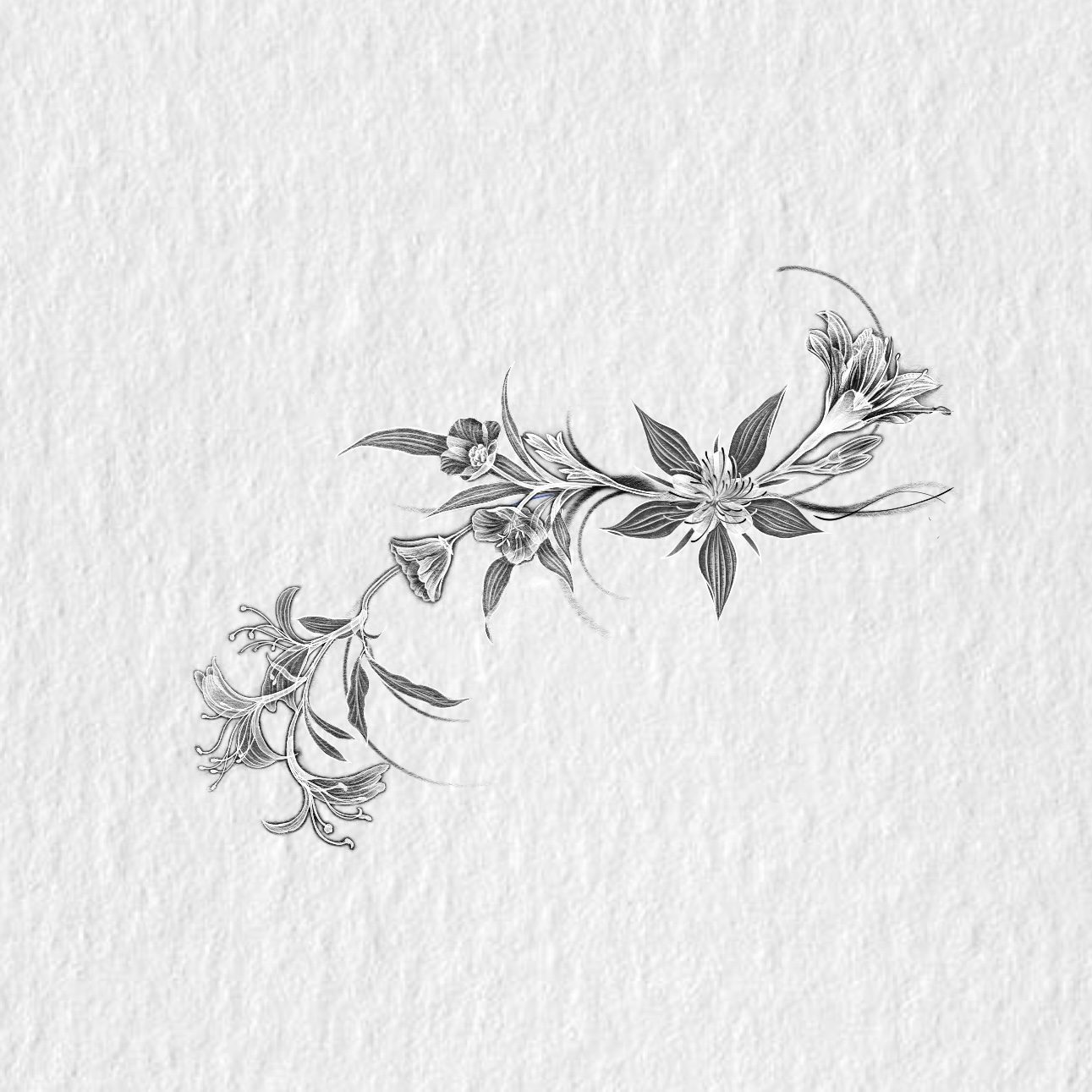 Flash design F-01 by Dasha Chau, Price by size