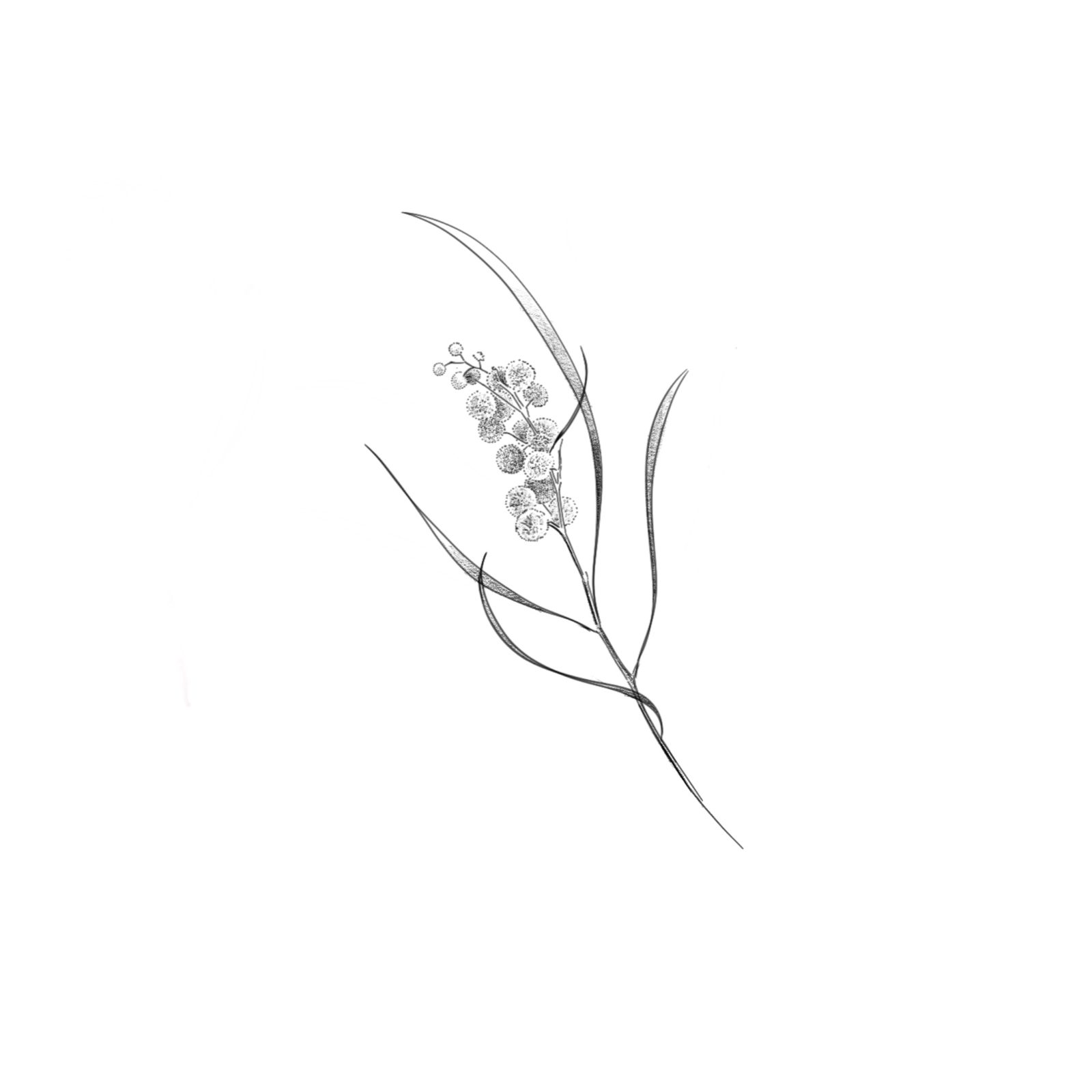 Flash design F-05 by Dasha Chau, £150 · 10cm