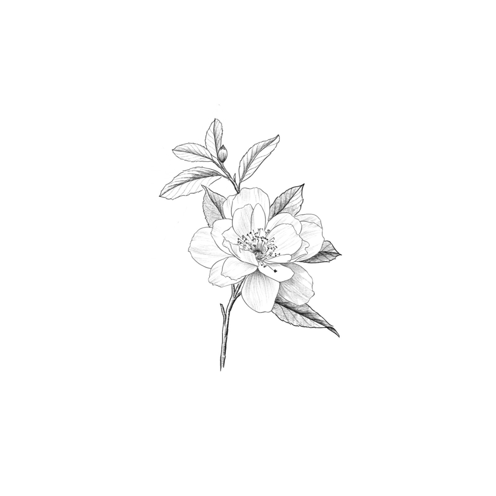 Flash design F-06 by Dasha Chau, £250 · 8cm