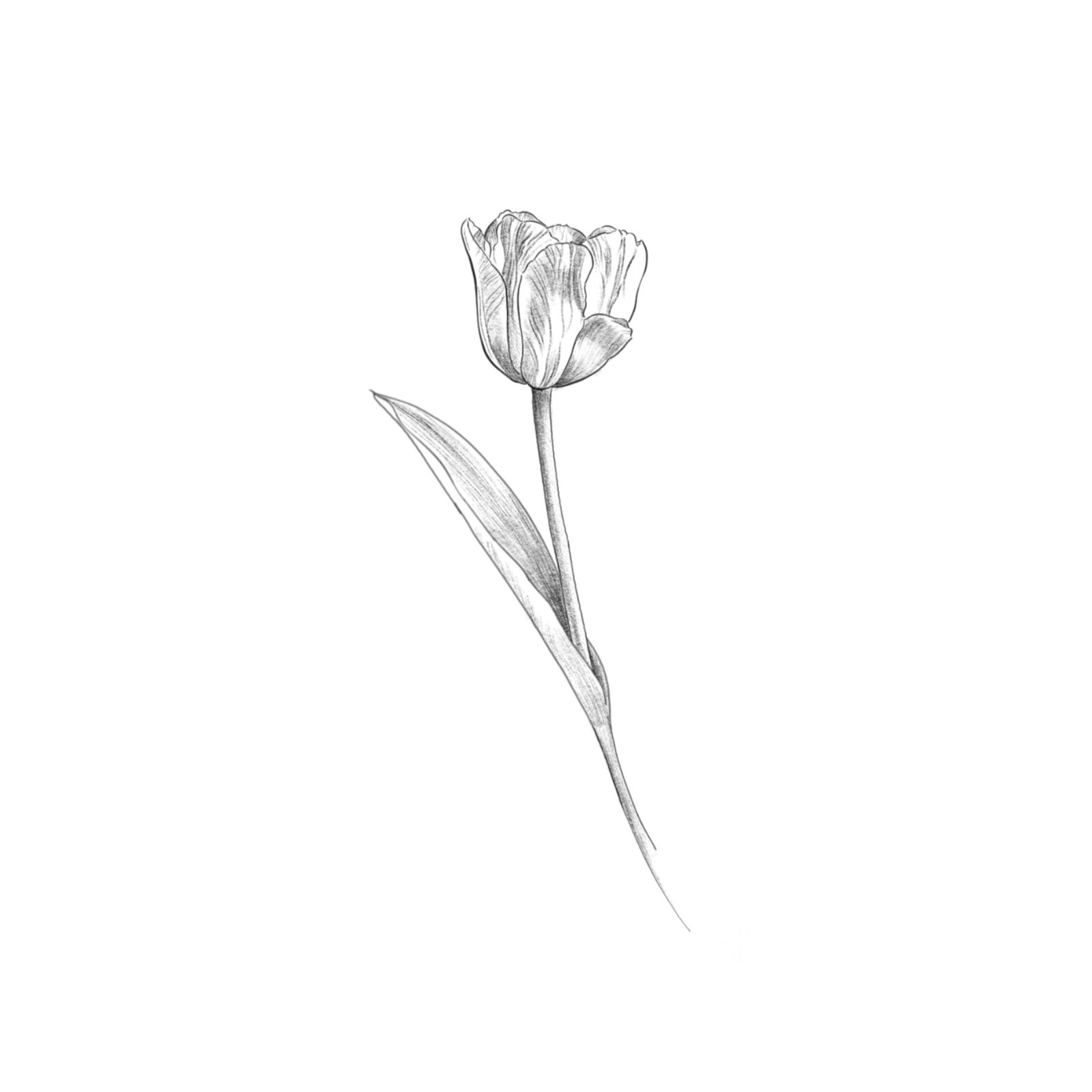 Flash design F-08 by Dasha Chau, £250 · 10cm