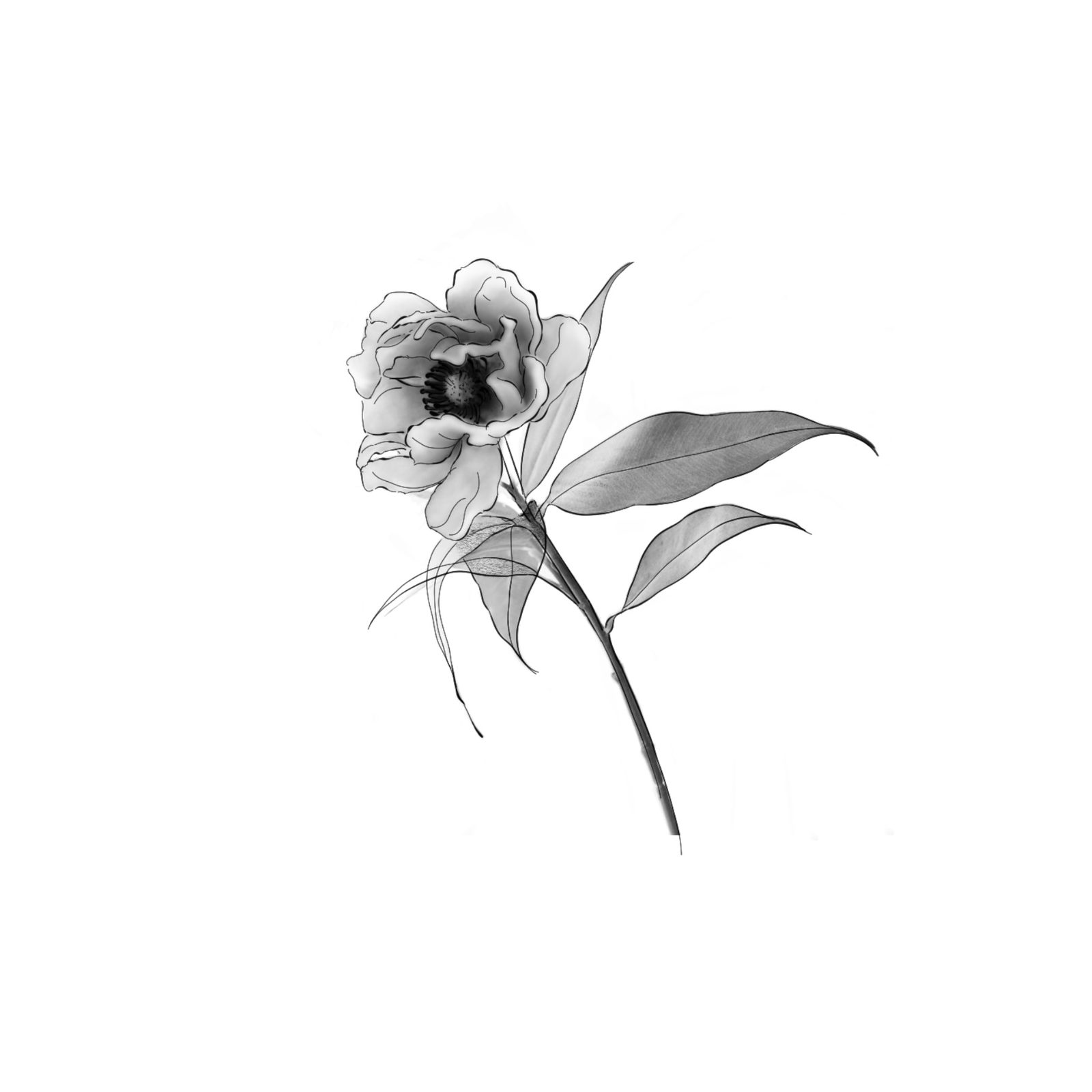 Flash design F-13 by Dasha Chau, £300 · 10cm