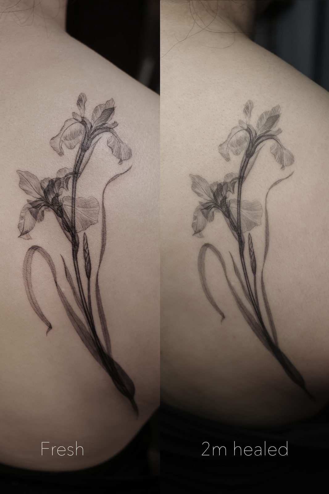 Tattoo by Dasha Chau, healed 2 months