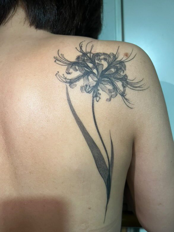 Tattoo by Dasha Chau, healed 2 years
